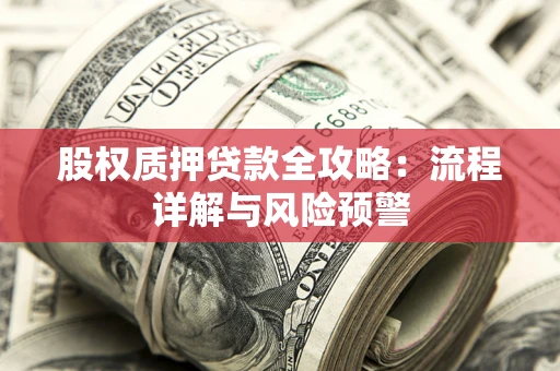 武汉股权质押贷款全攻略：流程详解与风险预警