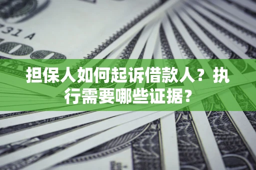 武汉担保人如何起诉借款人？执行需要哪些证据？