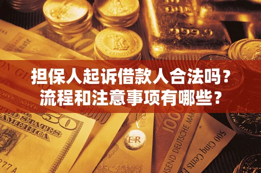 武汉担保人起诉借款人合法吗？流程和注意事项有哪些？