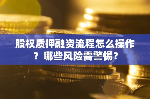 武汉股权质押融资流程怎么操作？哪些风险需警惕？