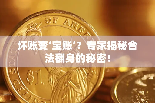 武汉坏账变‘宝账’？专家揭秘合法翻身的秘密！