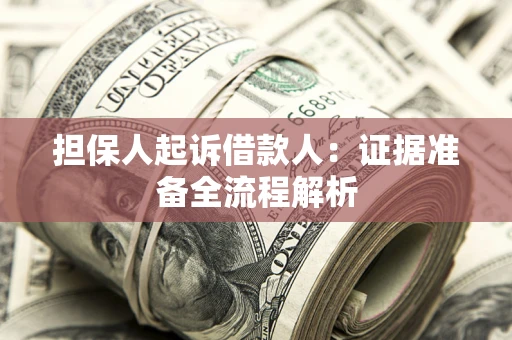武汉担保人起诉借款人：证据准备全流程解析