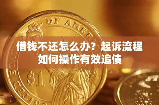 武汉借钱不还怎么办？起诉流程如何操作有效追债