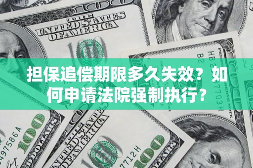 武汉担保追偿期限多久失效？如何申请法院强制执行？